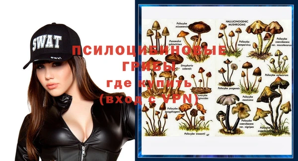 крисы Алексеевка