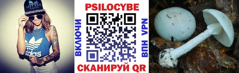 Галлюциногенные грибы прущие грибы  Октябрьский 